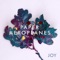 Emily - Paper Aeroplanes lyrics