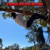 Cannot Hit the Breaks - Single