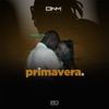 Primavera - Single