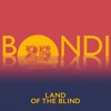 Land of the Blind - Single