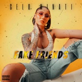 Fake Friends artwork