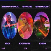 Go Down Deh (feat. Sean Paul & Shaggy) artwork