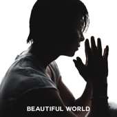 TOMOHISA YAMASHITA - Beautiful World