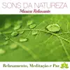 Natureza Budista song lyrics