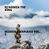 Mzansi Amapiano Vol. 2 artwork