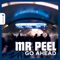 Wistful - Mr Peel lyrics