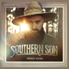 Demun Jones - Southern Son  artwork