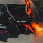 Soy Fuego (Live Version) artwork