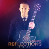 Acoustic Reflections artwork