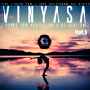 Vinyasa, Vol.3 - Hatha Yoga, Yoga Music & Meditation Music