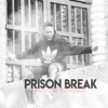 Prison Break