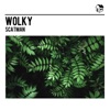 Wolky - Scatman (Extended Mix)