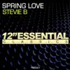 Spring Love (1998 Version) song lyrics