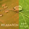 Stream & download Relaxation 101 - Tibetan Chakra Meditation Music 4 Massage, Reiki & Deep Sleep Songs, Relaxing Nature Sounds