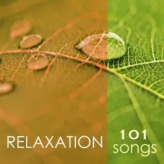 Instrumental Music by Spa Music Relaxation Meditation song reviws