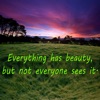 Everything Has Beauty - Single