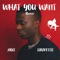 What You Want (feat. STRAFFITTI) - móst lyrics