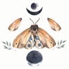 Blind Faith - Single