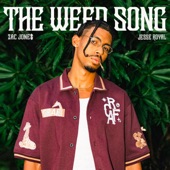 The Weed Song artwork