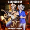 Agrono Pinga - Single