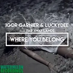 Where You Belong (feat. Far Away Lands) - Single by Igor Garnier & LuckyDee album reviews, ratings, credits