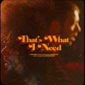 That's What I Need (feat. Mabreezee & Karmasound) artwork