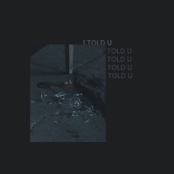 Cover artwork for I Told You