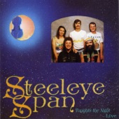 Steeleye Span - Fighting For Strangers