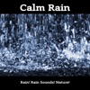 Calm Rain, 2021