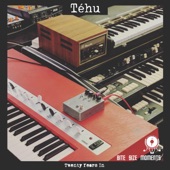 Tehu - Twenty Years In