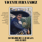 Las Mañanitas - Vicente Fernández