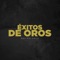 Rabiola - Ray Polanco lyrics