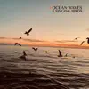 Ocean Waves & Singing Birds: 100 % Nature Sounds (No Music) album lyrics, reviews, download