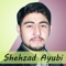 Shahzad Ayubi's Khowar Sad Song - Shehzad Ayubi lyrics