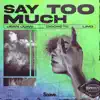 Say Too Much - Single album lyrics, reviews, download