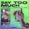 Say Too Much - Single