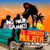 Te Conozco Mulata (feat. Fito Reinoso) song lyrics