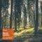 Squirrel Concept (TEELCO Remix) - Paege lyrics