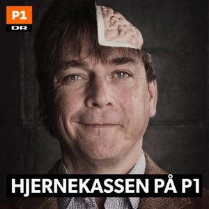 Hjernekassen på P1: Broer 2019-09-23