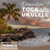 51st Ukulele Festival Hawaii - Single