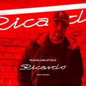 Ricardo artwork