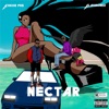 Nectar (feat. Blaqbonez) - Single