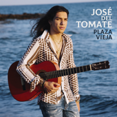 Plaza Vieja - José del Tomate