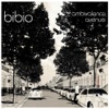 Lovers’ Carvings by Bibio iTunes Track 1