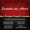 Cuerdas de Amor (feat. Joaquin Belondi & Abel Anrriquez) - Single