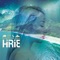 Good Vibration (feat. Trevor Hall) - HIRIE lyrics