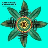 Rainforest Ambiance & Binaural Beats - EP artwork