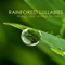 Nature's Lullaby - Rainforest Music Lullabies Ensemble lyrics