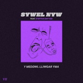 Y Meddwl Lliwgar Yma (feat. Steffan Dafydd) artwork