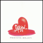 Pecinta Sejati by Dygta - cover art